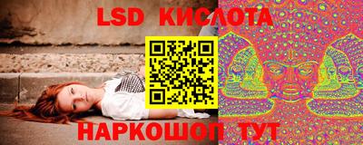 spice Ставрополь