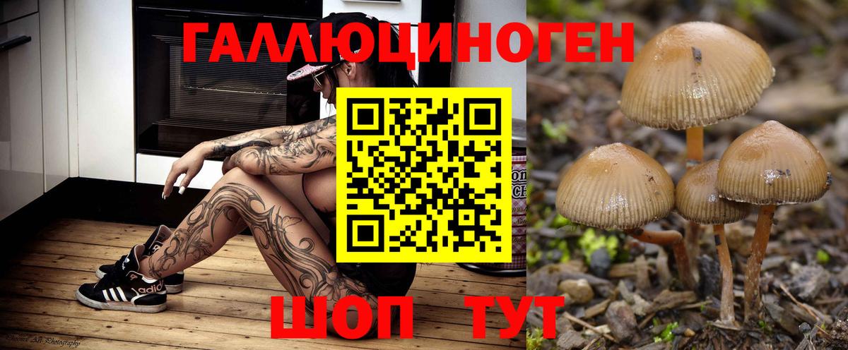 Нижний Тагил  Галлюциногенные грибы Cubensis  Псилоцибиновые грибы мицелий  Вход с VPN 